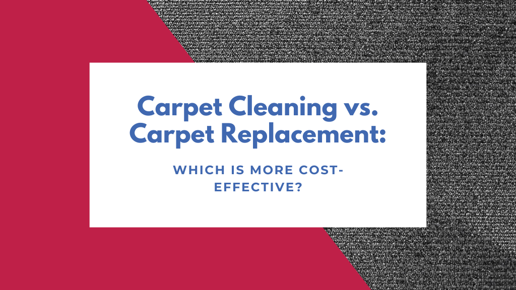 Carpet Cleaning vs Carpet Replacement